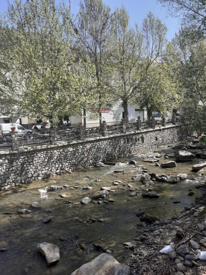Apartamentos Pinos Genil Buitenkant foto