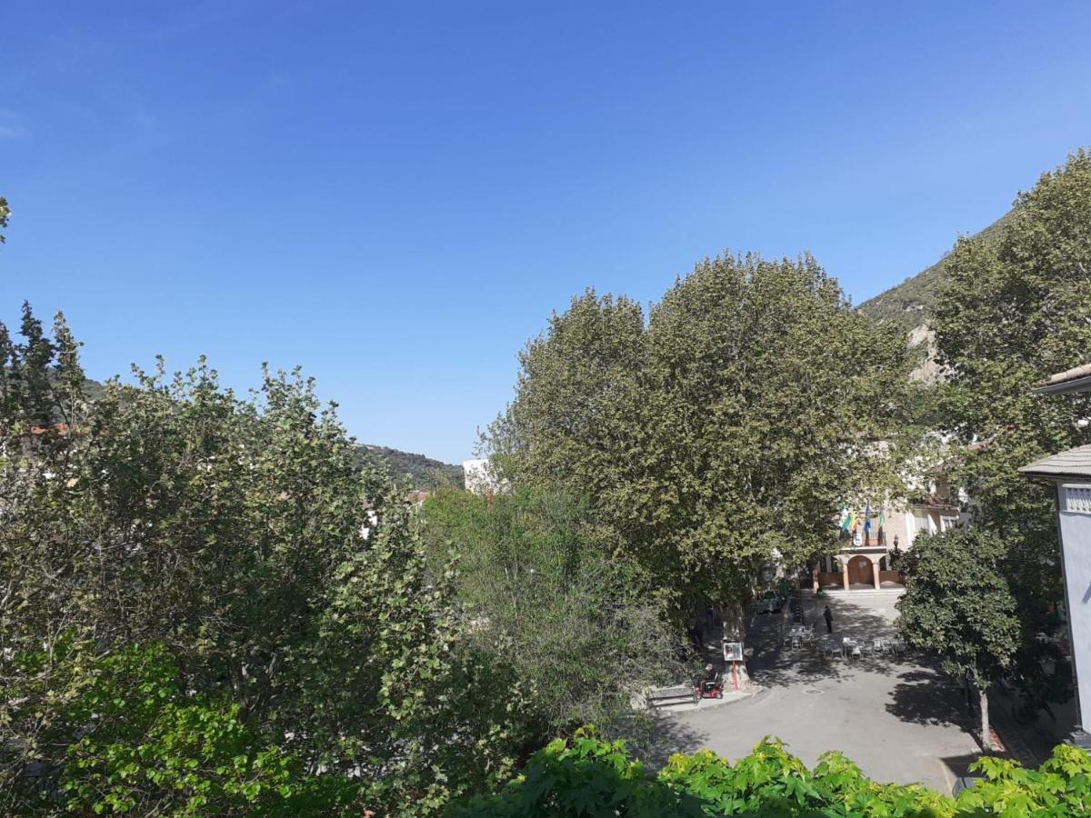 Apartamentos Pinos Genil Buitenkant foto